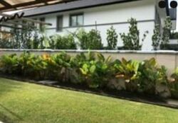 Binjai Park (D21), Detached #515460481